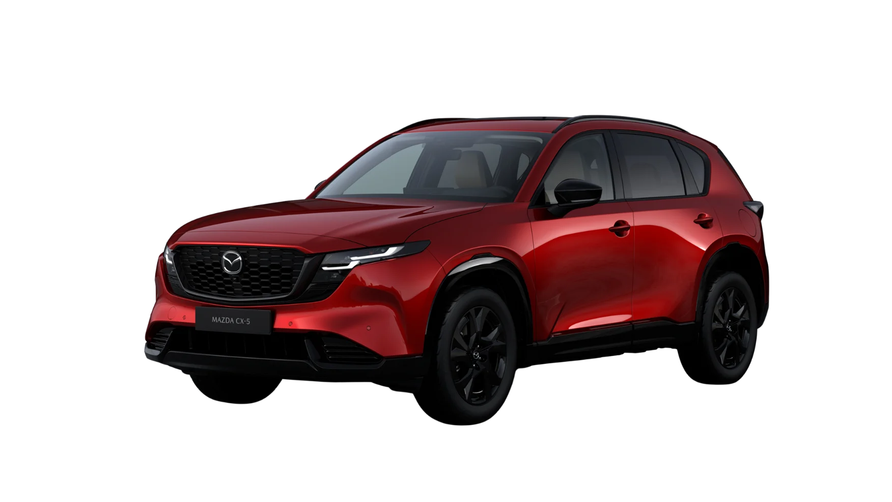 Untitled design (29)